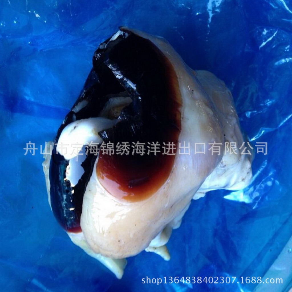 秘鲁鱿鱼大嘴巴 各种秘鲁鱿鱼系列产品批发 冷冻水产品