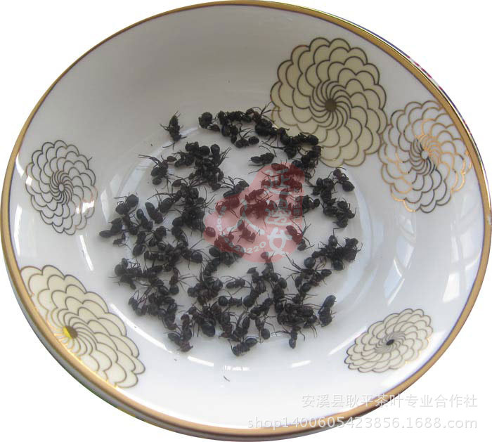 T2BkxkXd8bXXXXXXXX_!!54309640