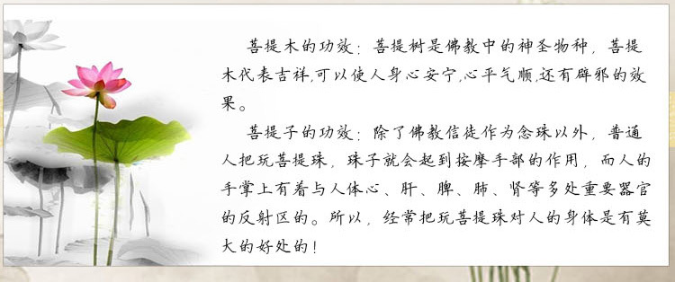 菩提功效