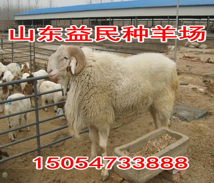 ABUIABACGAAg7f7AlAUoxMSTkQQw6w