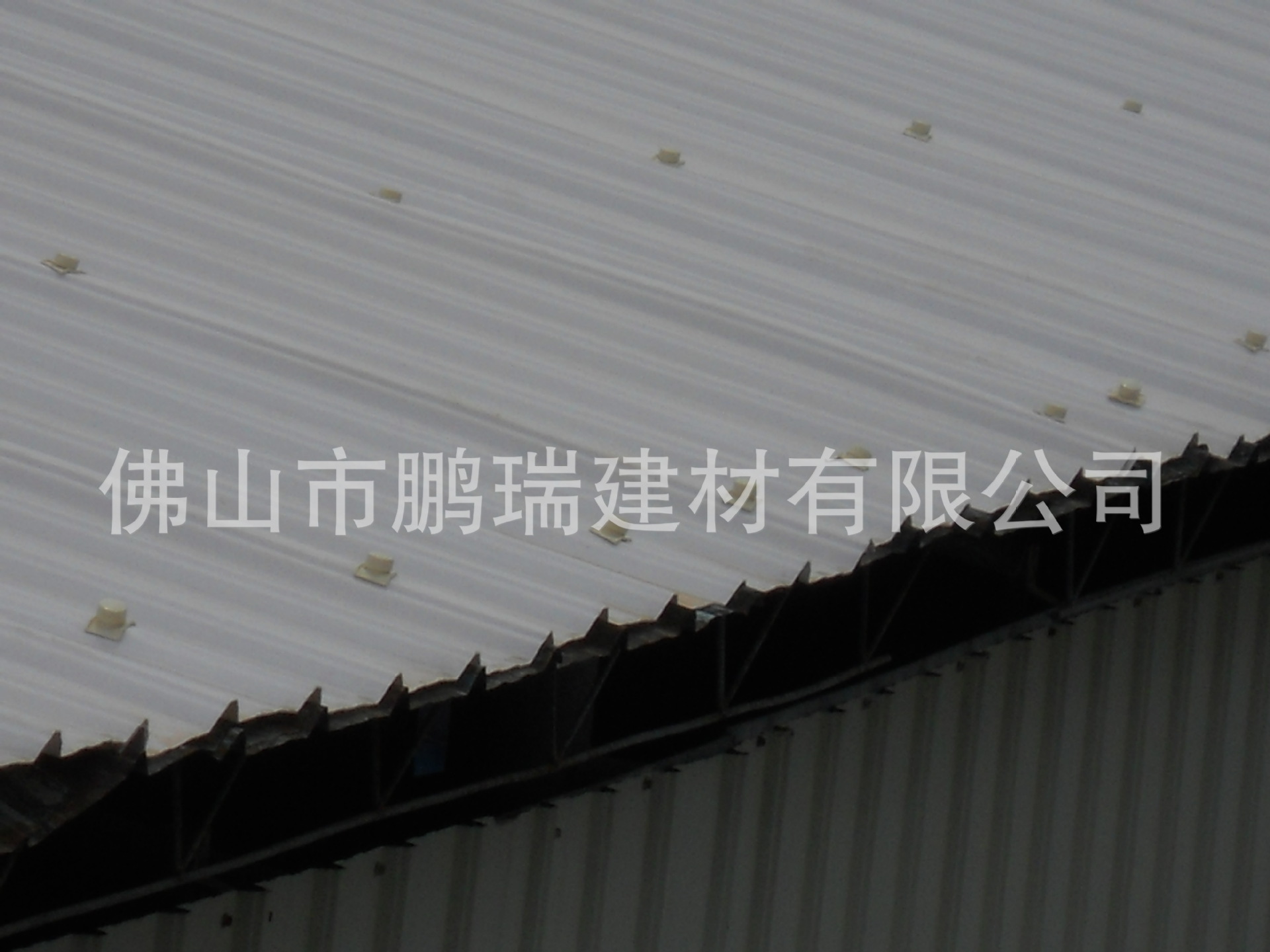DSCN1887