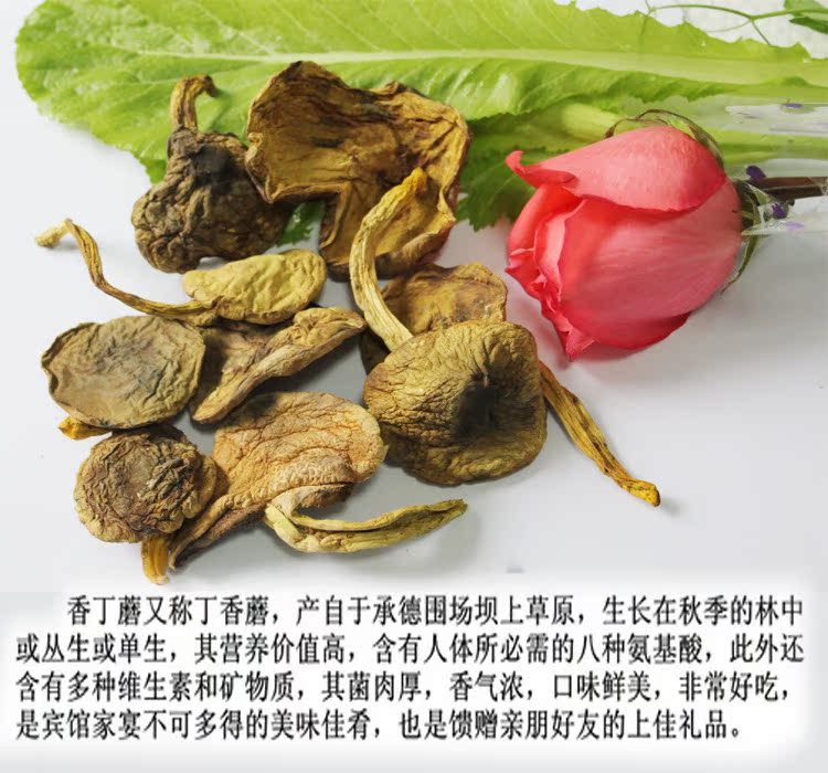 特产精选紫丁香蘑菇 野生台蘑 灰趟子蘑菇 丁状货紫丁香菇笑脸蘑