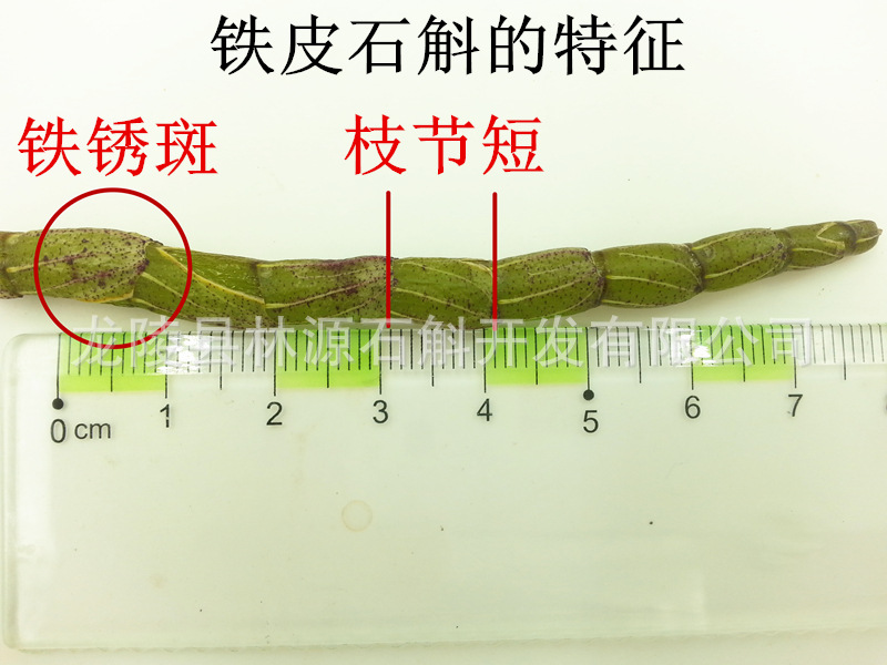 鲜条主图6