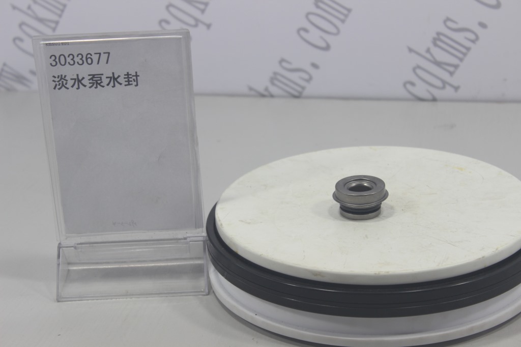 kms01401-3033677-康明斯淡水泵水封-3609920-参考规格外径3.2cm,内径1.7cm-参考重量0.03Kg-图片1