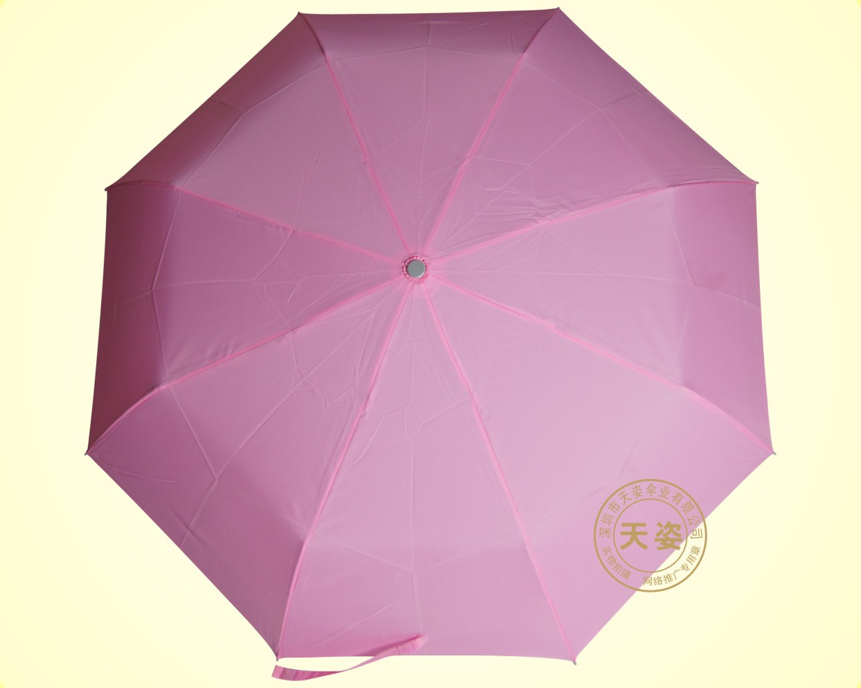 粉红色超轻伞3