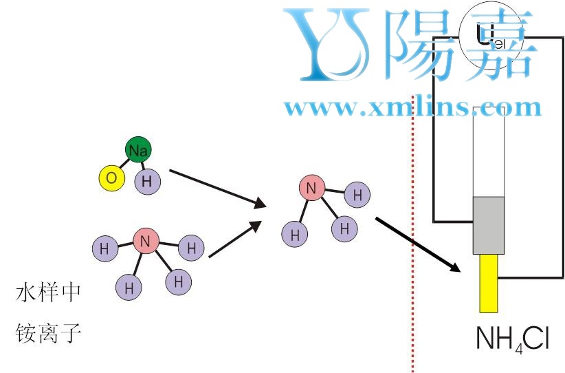 WTW在線氨氮工作原理1