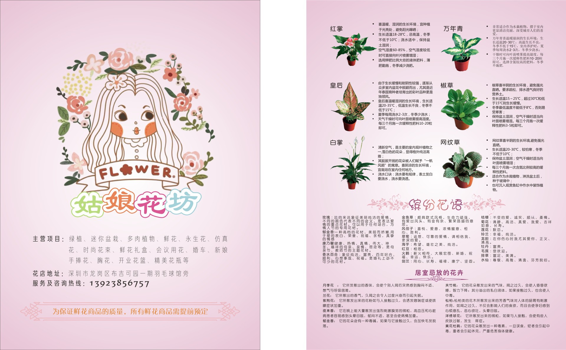 姑娘花坊彩页