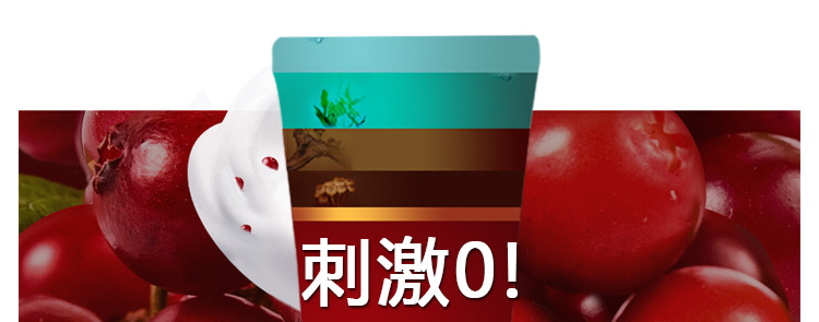 五味子描述_01