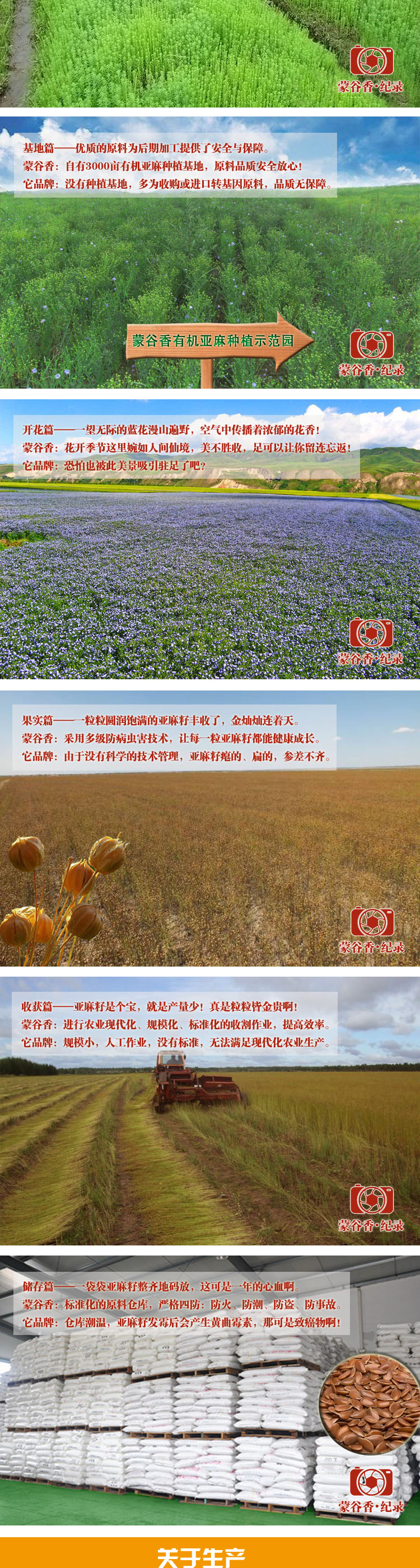 內蒙古產地純天然冷榨亞麻籽油 蒙谷香亞麻籽油 500ml