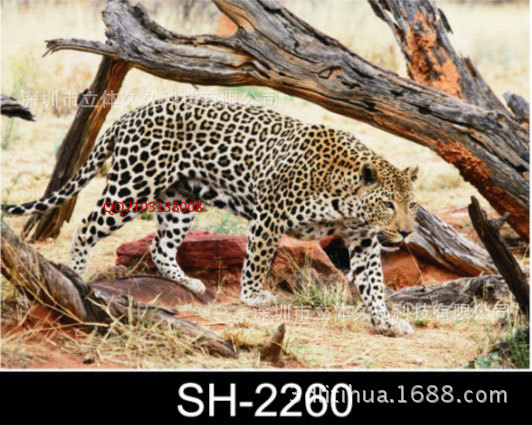 3D立体画厂家批发