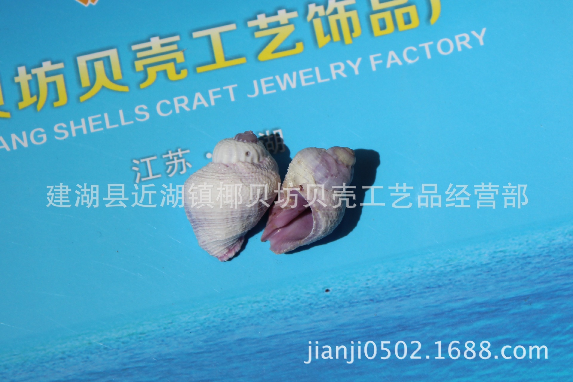 IMG_0786_2345看图王