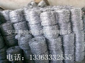 u=2412998034,609513016&fm=21&g