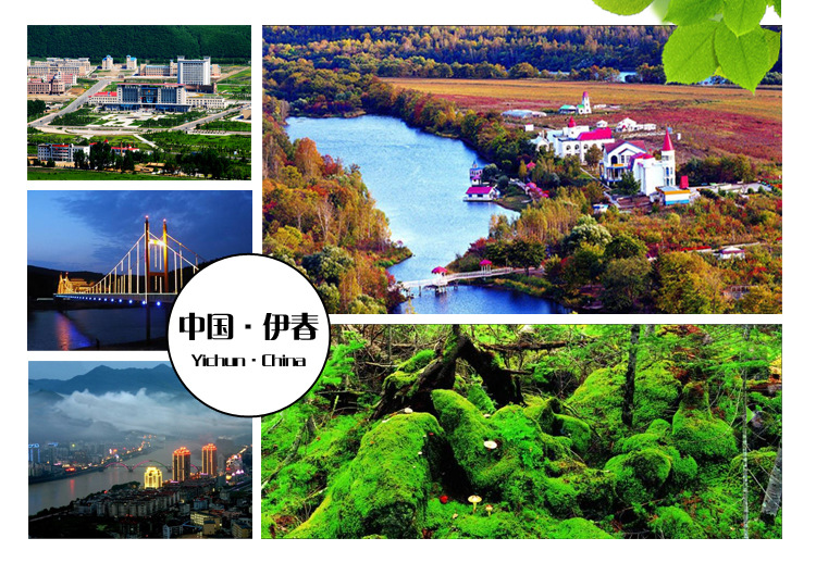 东北特产 大兴安岭伊春野生黑木耳糕 森骄有机零食 休闲食品批发