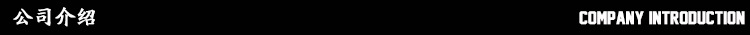 公司介绍