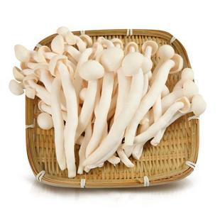 产地直销 宁夏特产 食用菌 野生香菇120克礼盒装野生蘑菇大量批发