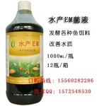 改善鱼塘水质用的水产em菌液多少钱?