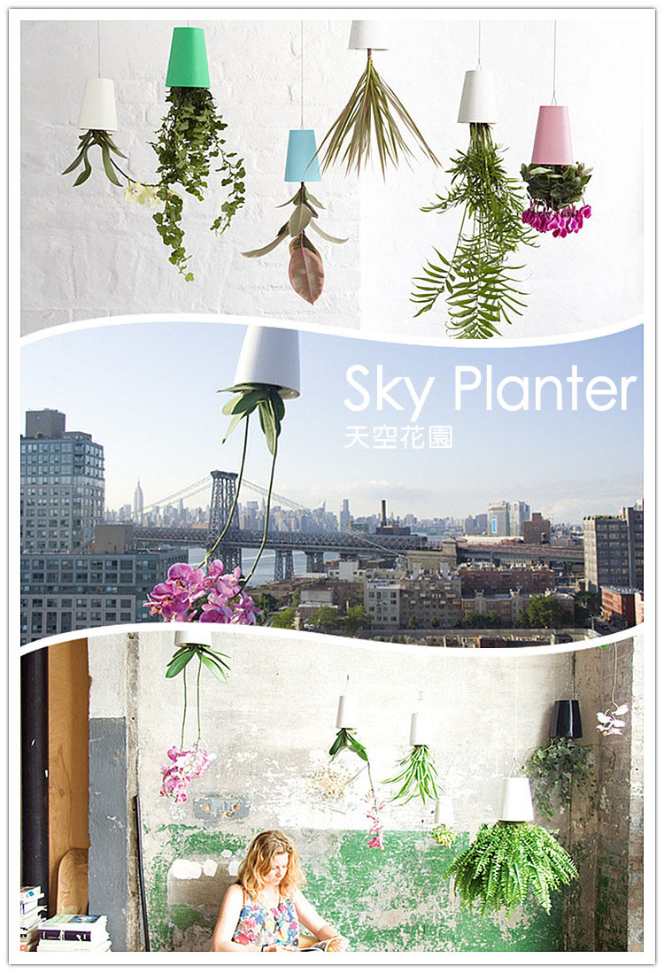 sky planter天空花园后现代天空播种机倒置花盆花器吊兰盆
