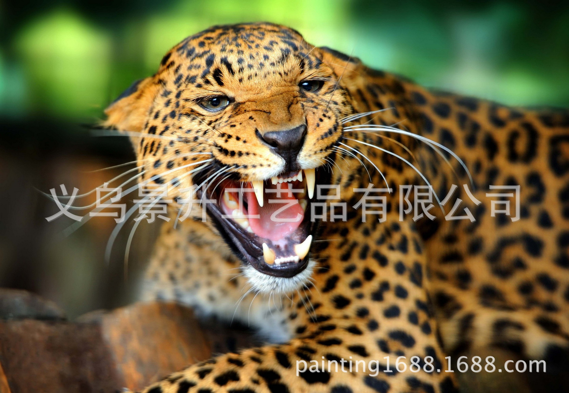 40204_调整大小