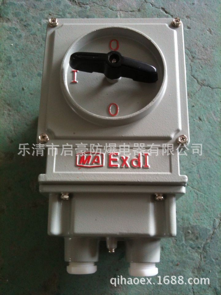 BZZ51系列防爆转换开关（IIB）-10