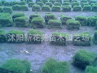 00_conew2