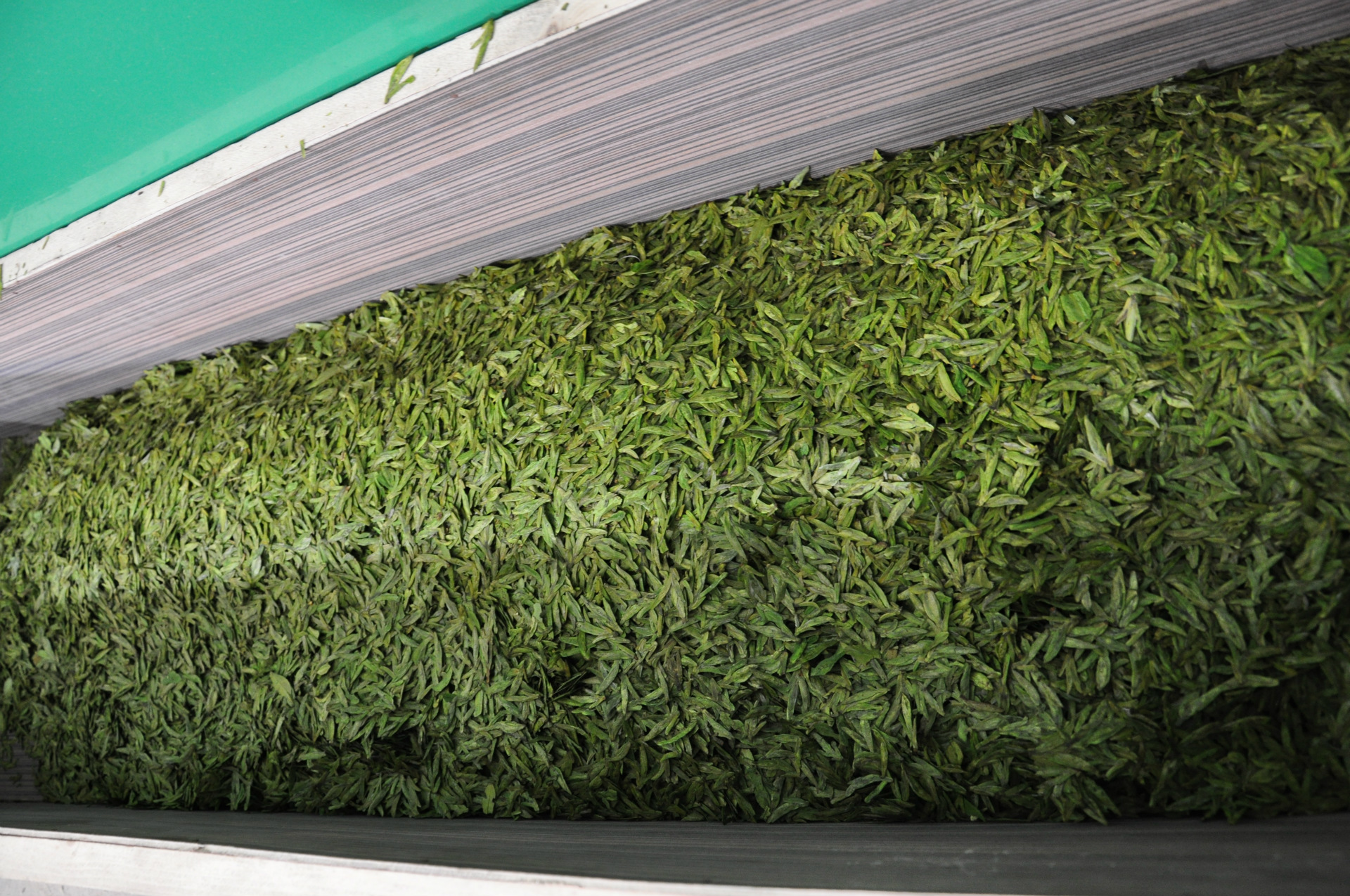 2014年新茶 浙江西湖明前特級龍井茶 500g 免運費 