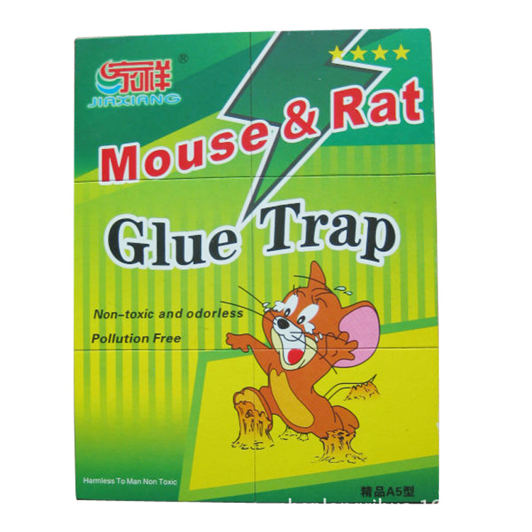 517473773_58321507副本