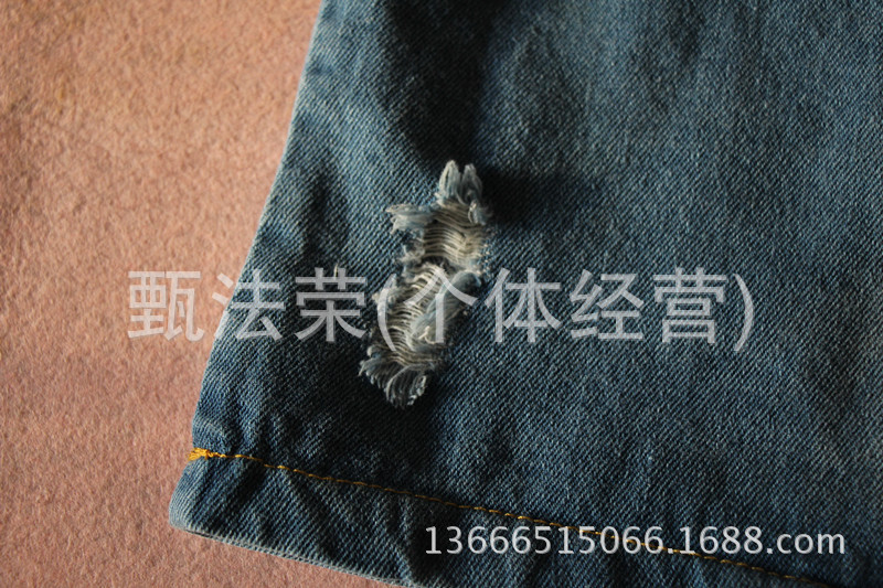 照片 160
