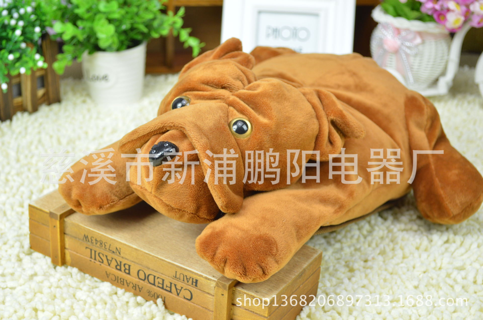 DSC_0231_看图王(1)