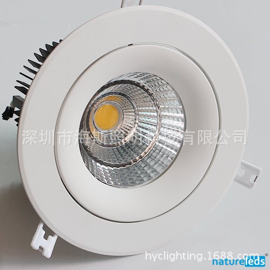 36W COB DOWN LIGHT-NATURELEDS-