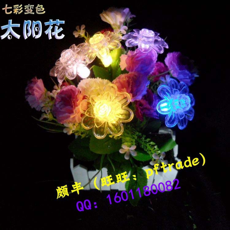 conew_conew_太陽花3 拷貝