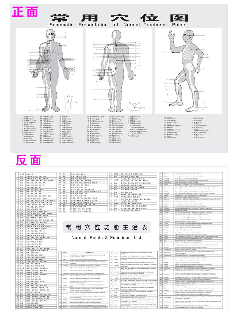 经络图