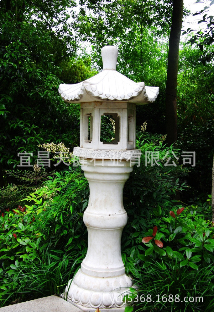 4624445_212047656120_2