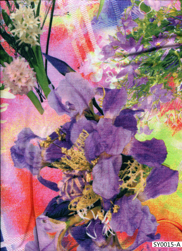 SY0015-1