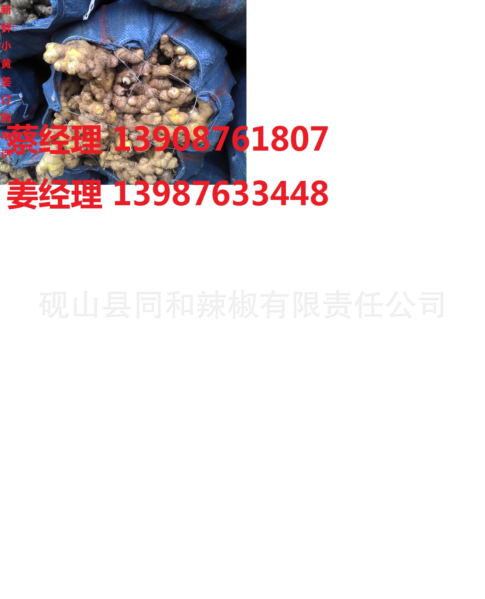 新鲜小黄姜
