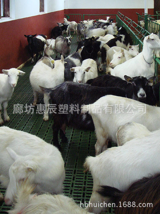 塑料羊床漏粪板用于山羊养殖场