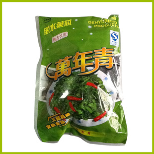 批发供应 包装新品脱水万年青 旅游食品万年青脱水蔬菜 批发出售