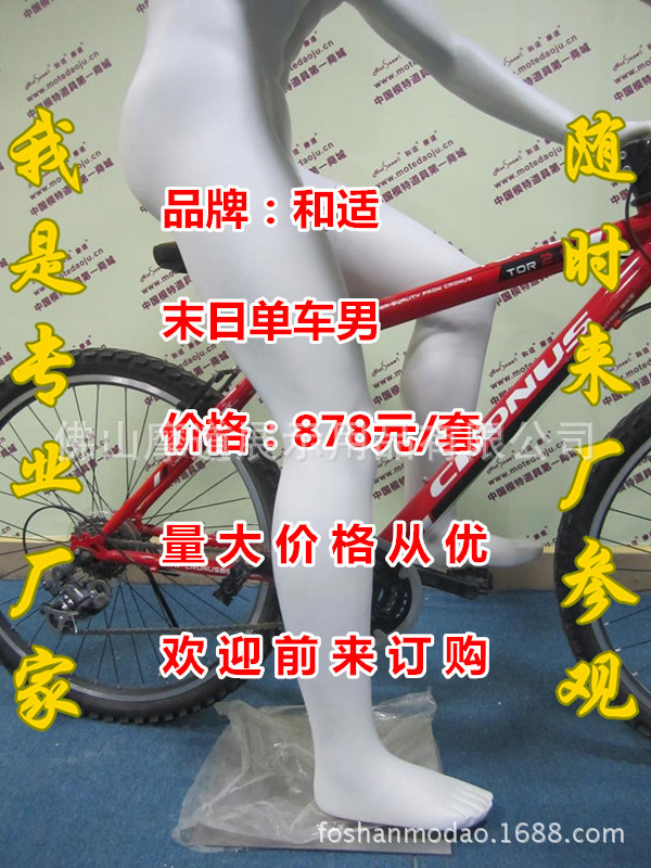 照片 215_副本_副本