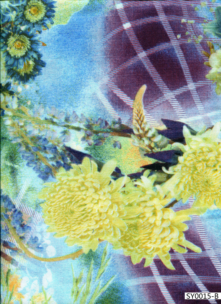SY0015-2