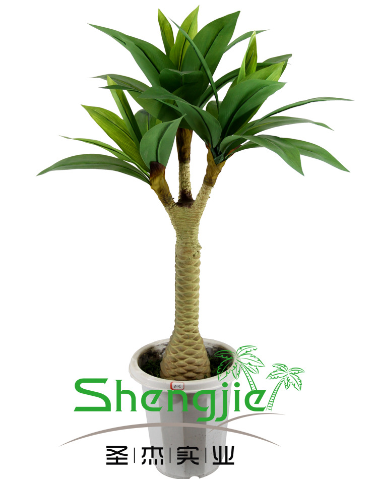 0125 菠萝绿铁 31叶 90CM