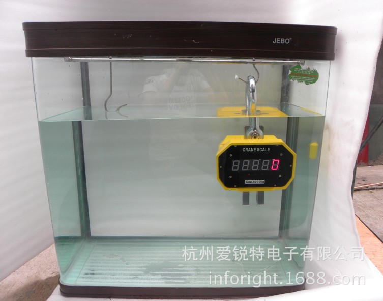 210%QLF})U~U[UC`23DFI$2