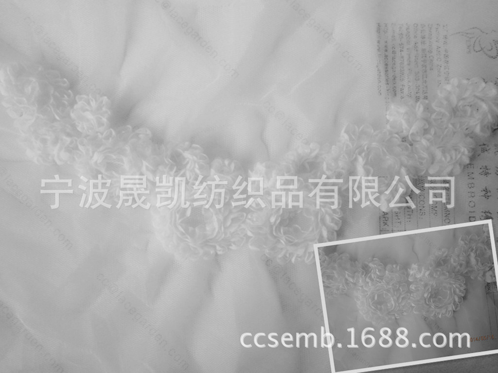 P5150128_副本_副本