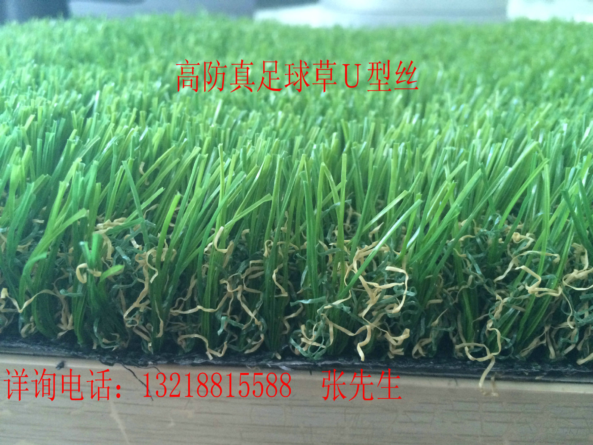 景观草－Ｃ型丝