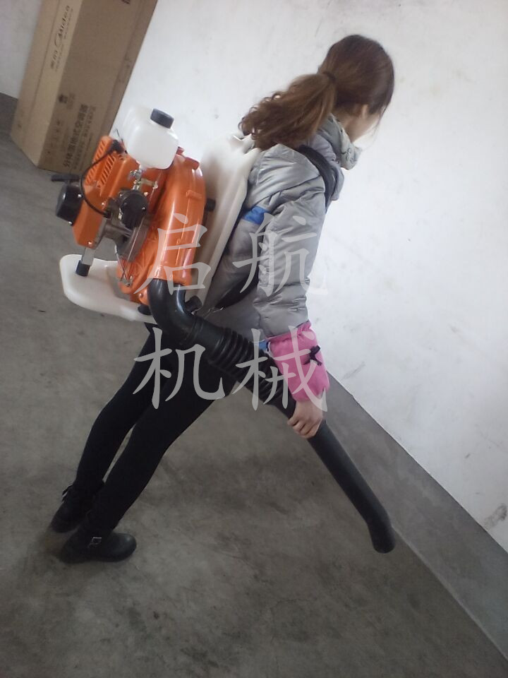 好用的材料吹风机 背负式吹风机 吹雪机