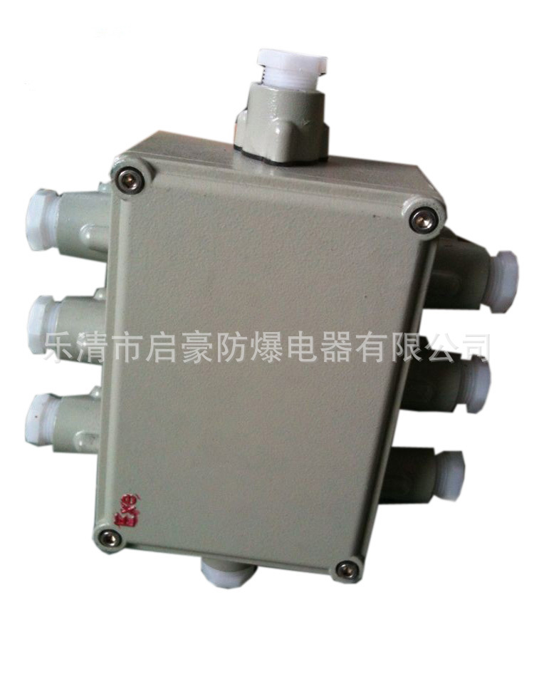 防爆接线箱0005