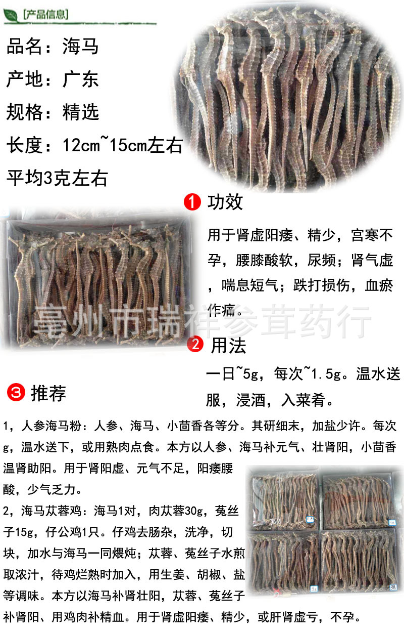 中药材海马批发 大海马干 12cm-15cm左右 300克/盒 泡酒料