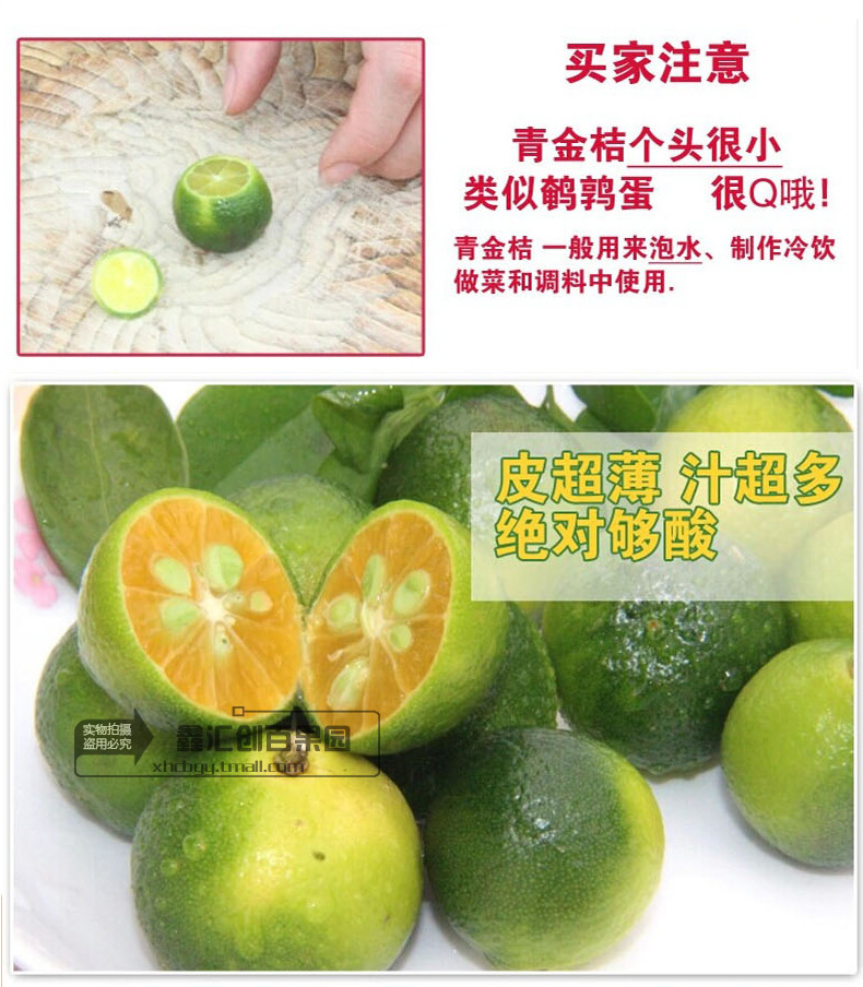 小青桔_06
