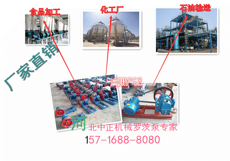 厂家供应lctw罗茨泵,罗茨油泵,罗茨真空泵