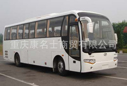 安源大型豪华旅游客车PK6100A的图片2