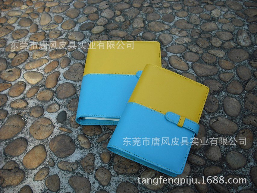 DSCF4533