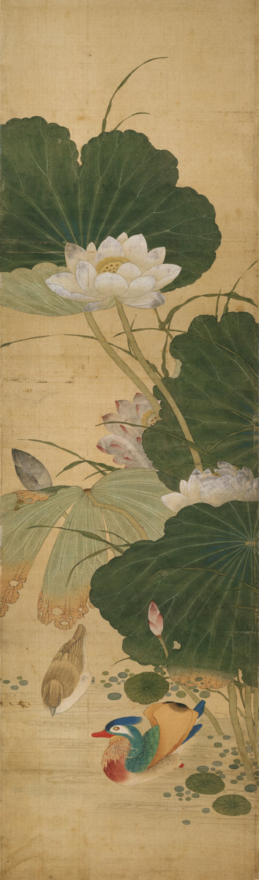 266-629MB 陈枚-四季花鸟图屏-5